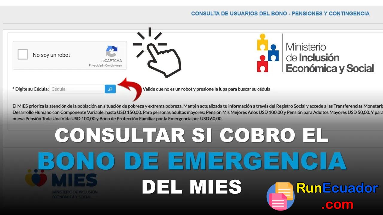 Consultar si cobro el Bono de Emergencia del MIES