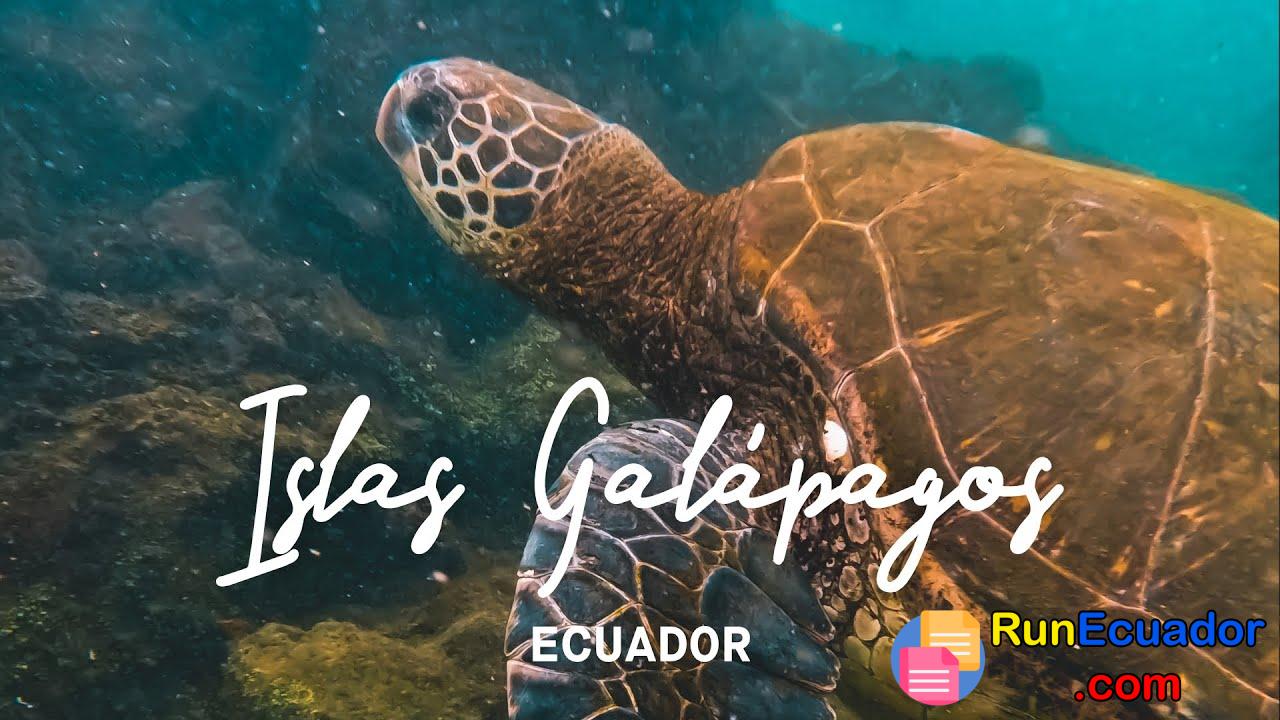 Vestimenta de Galápagos