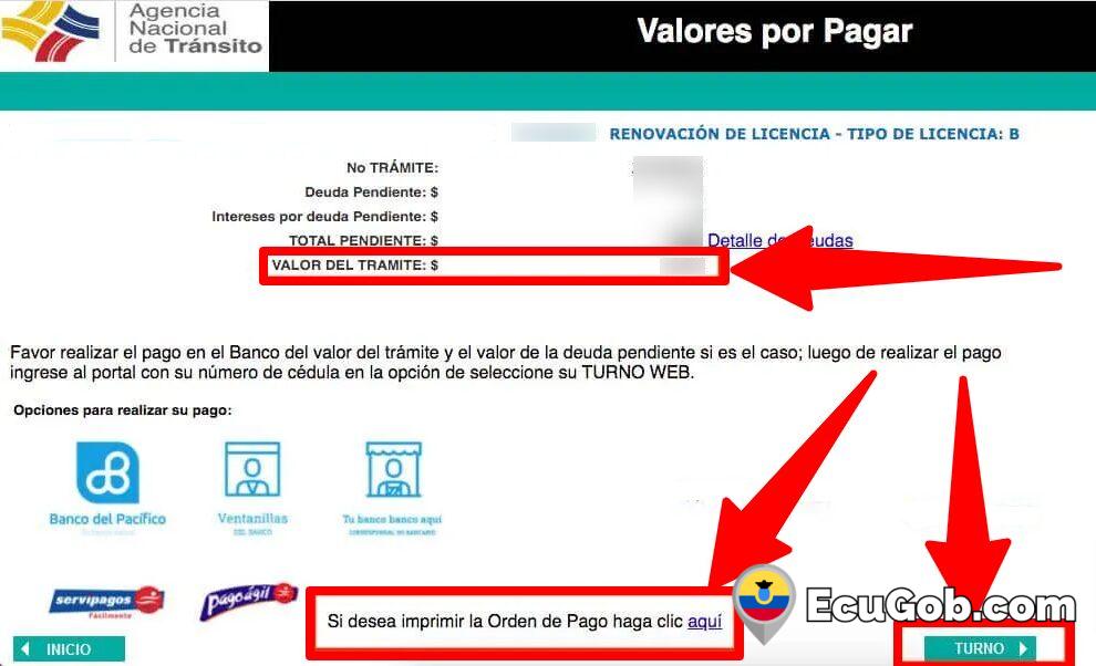 Turno para Renovar Licencia de Conducir 8 Turno para Renovar Licencia de Conducir