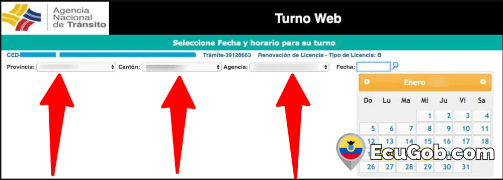 Turno para Renovar Licencia de Conducir 9 Turno para Renovar Licencia de Conducir