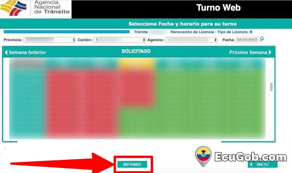 Turno para Renovar Licencia de Conducir 11 Turno para Renovar Licencia de Conducir