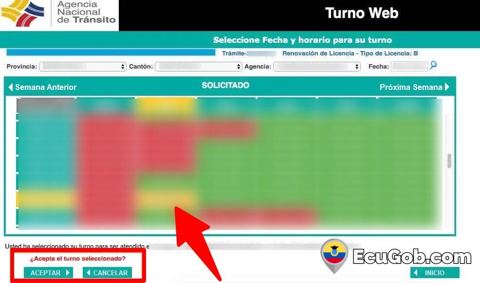 Turno para Renovar Licencia de Conducir 10 Turno para Renovar Licencia de Conducir
